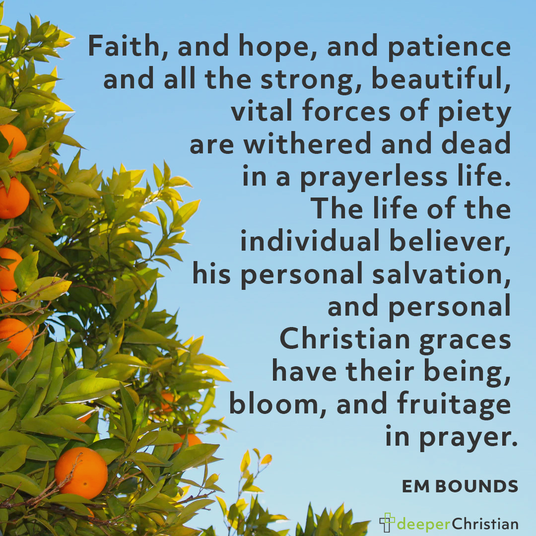 The Fruit of Prayer – EM Bounds