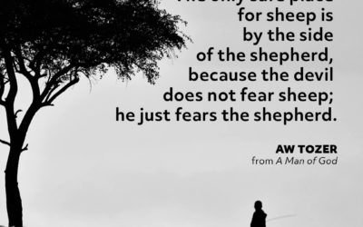 Beside the Shepherd – AW Tozer