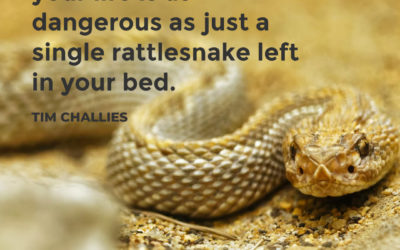 Sin is like a rattlesnake – Tim Challies