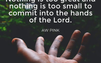 Nothing to Great or Small – AW Pink