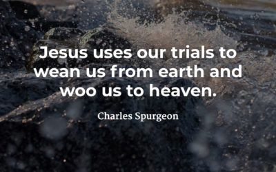 Wooing Us To Heaven – Charles Spurgeon