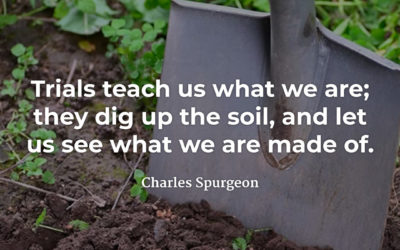 Trials Teach Us – Charles Spurgeon