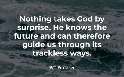Nothing Takes God By Surprise – WT Purkiser