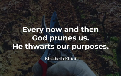 God will prune us – Elisabeth Elliot