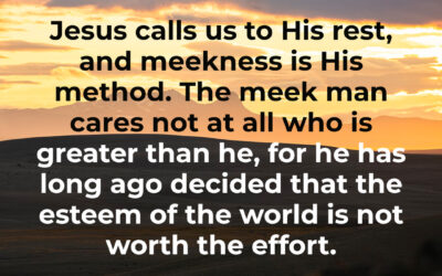 Meekness is His method – AW Tozer