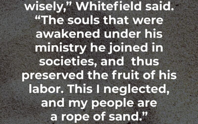 Preserving fruit of my labor – George Whitefield