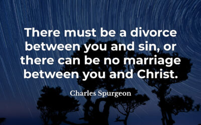 You, Sin, and Christ – Charles Spurgeon