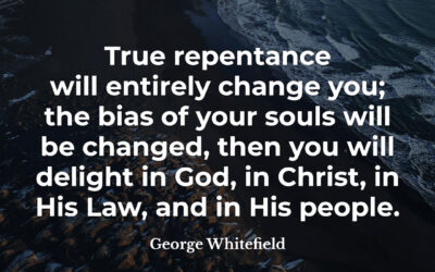 True repentance will change you – George Whitefield