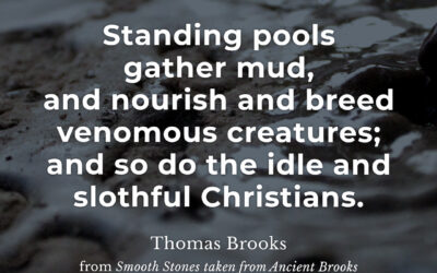 Don’t be idle – Thomas Brooks